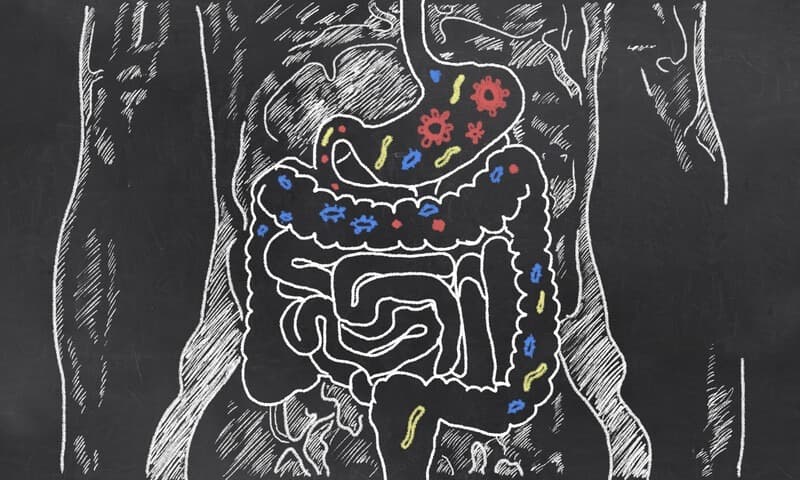 Fermentiertes Gemüse, Bewegung und Erholung